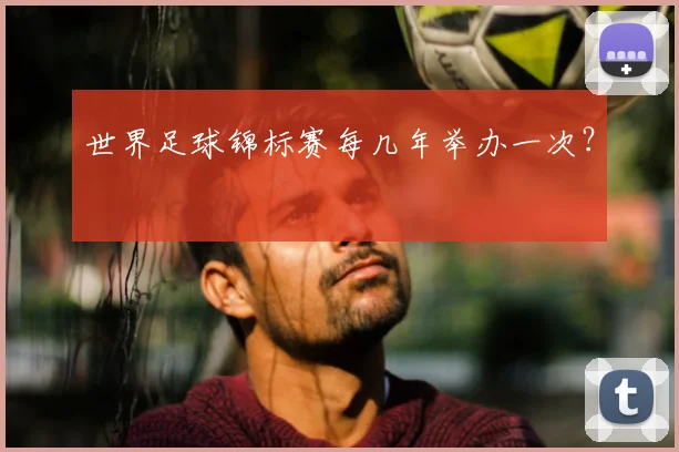 世界足球锦标赛每几年举办一次？